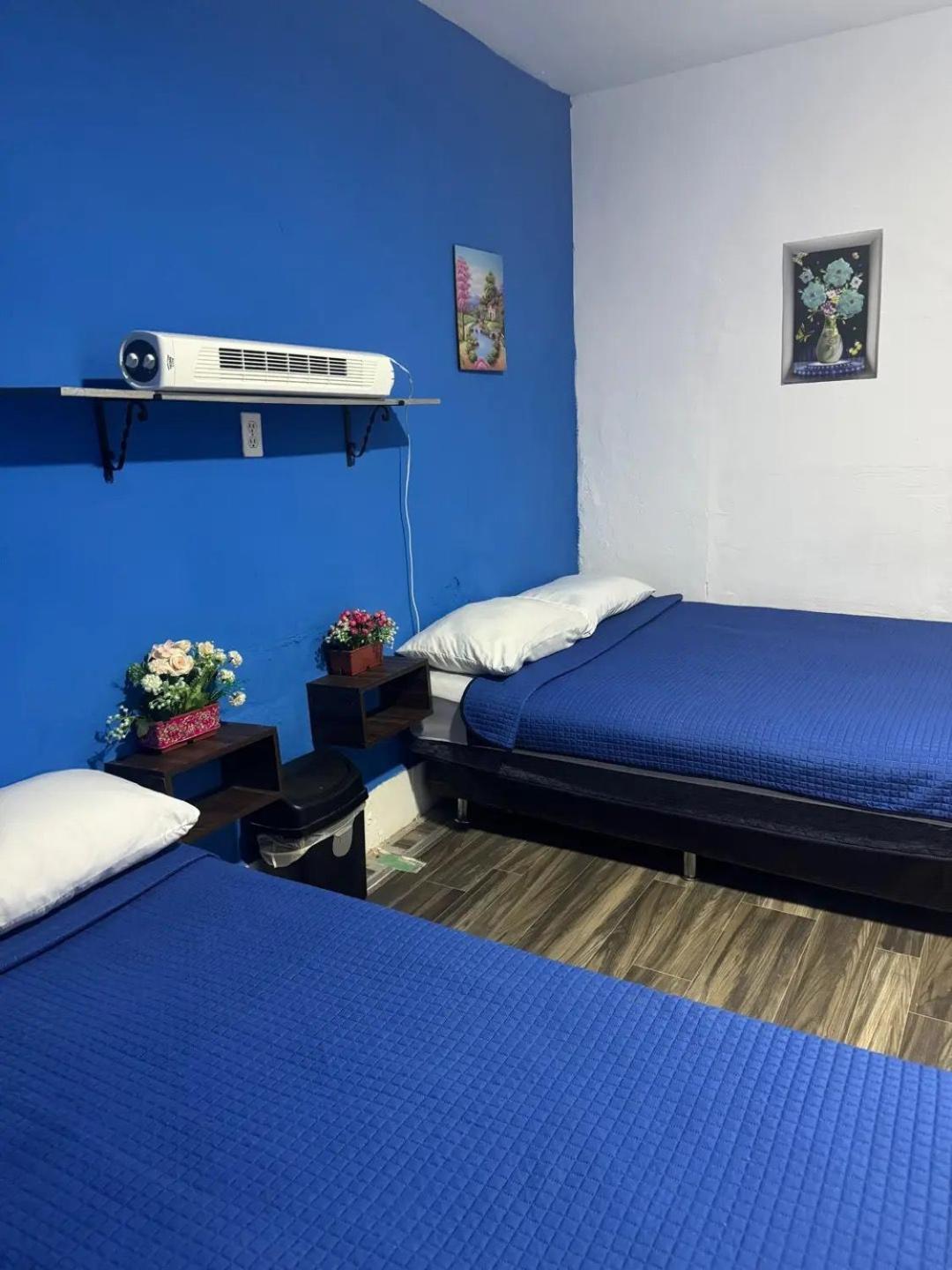 Homestay Casa Cristal *