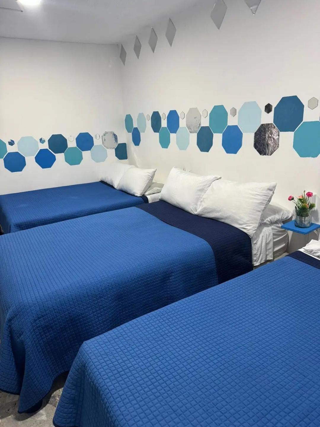 Casa Cristal Homestay Mexico City