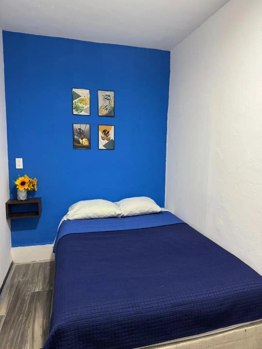 Casa Cristal Homestay Mexico City