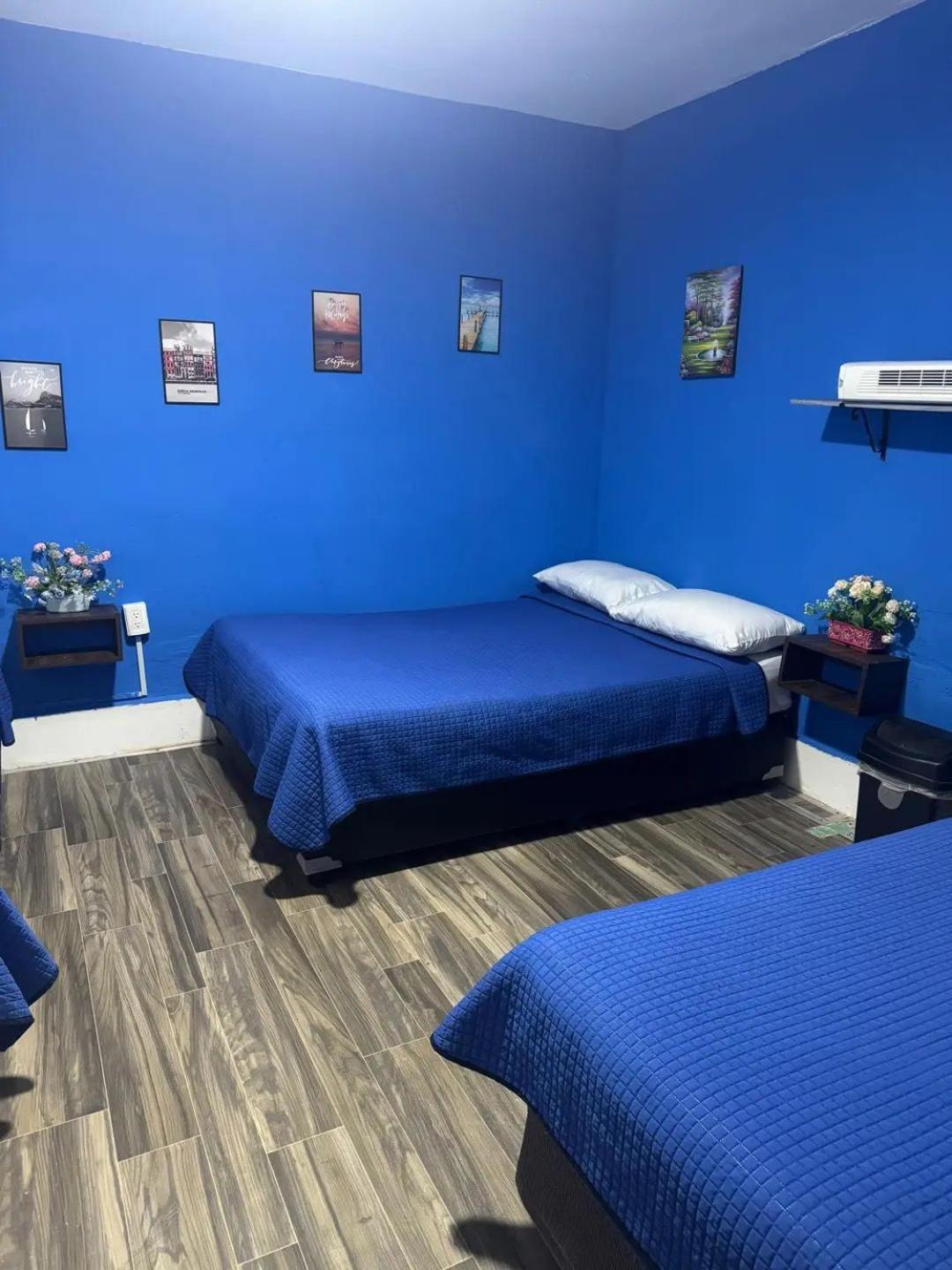Casa Cristal Homestay *