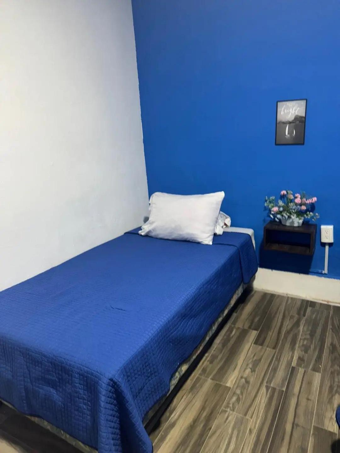 Casa Cristal Homestay Mexico City