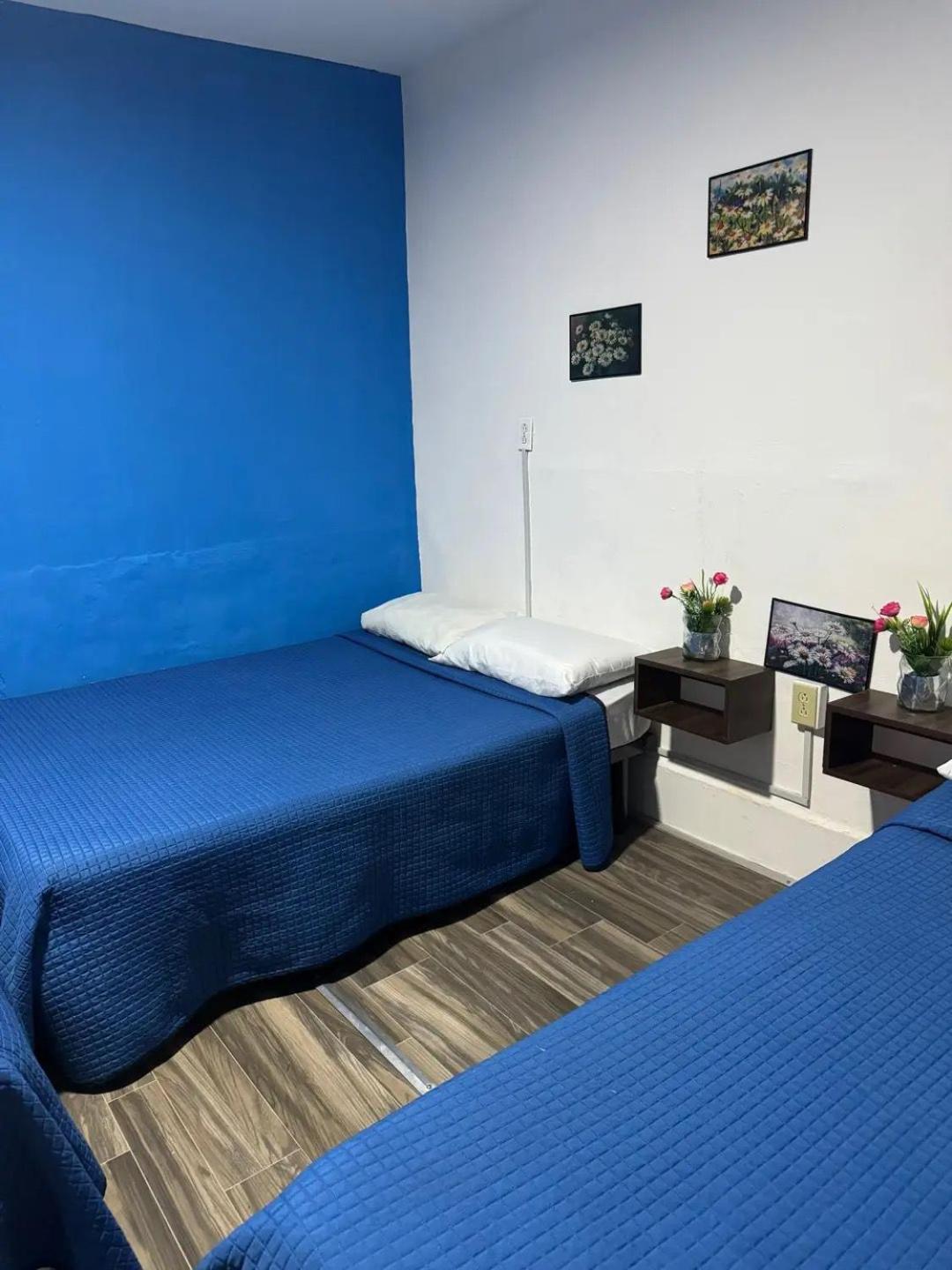 Casa Cristal Homestay Mexico City
